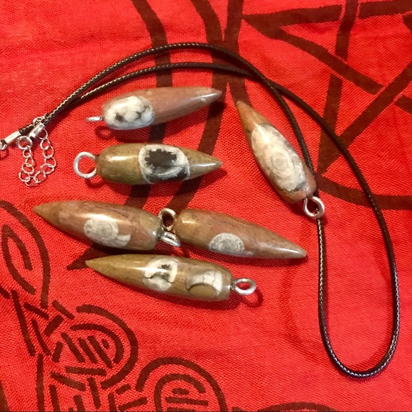 Fossil Orthoceras Pendant Wisdom Transformation - Picture 1 of 2